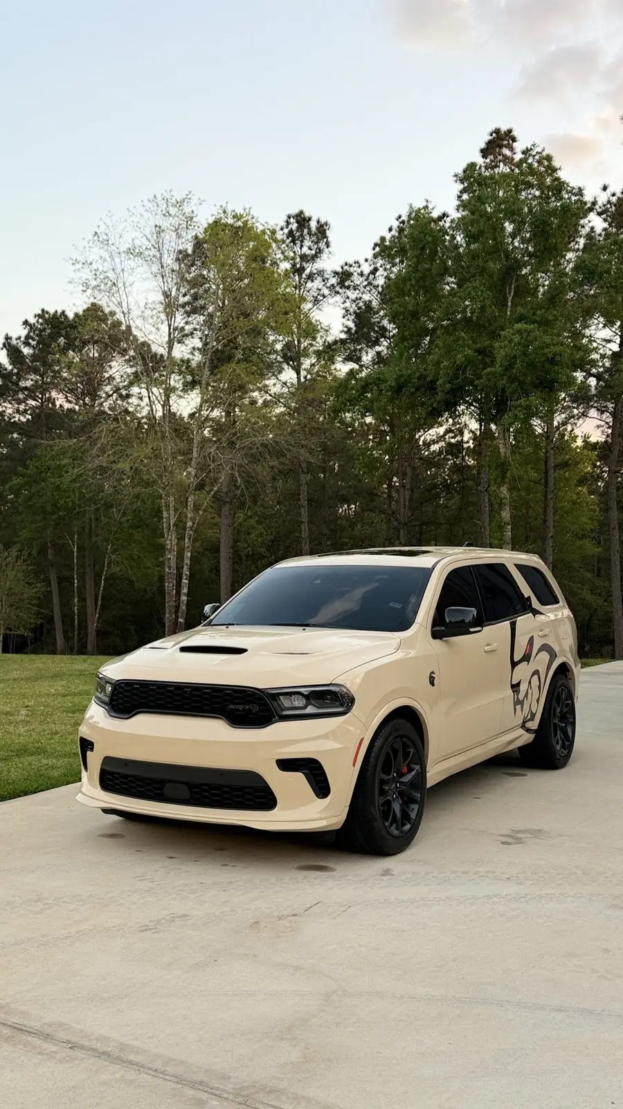 Mobile auto detailing in Tomball TX — LabShine